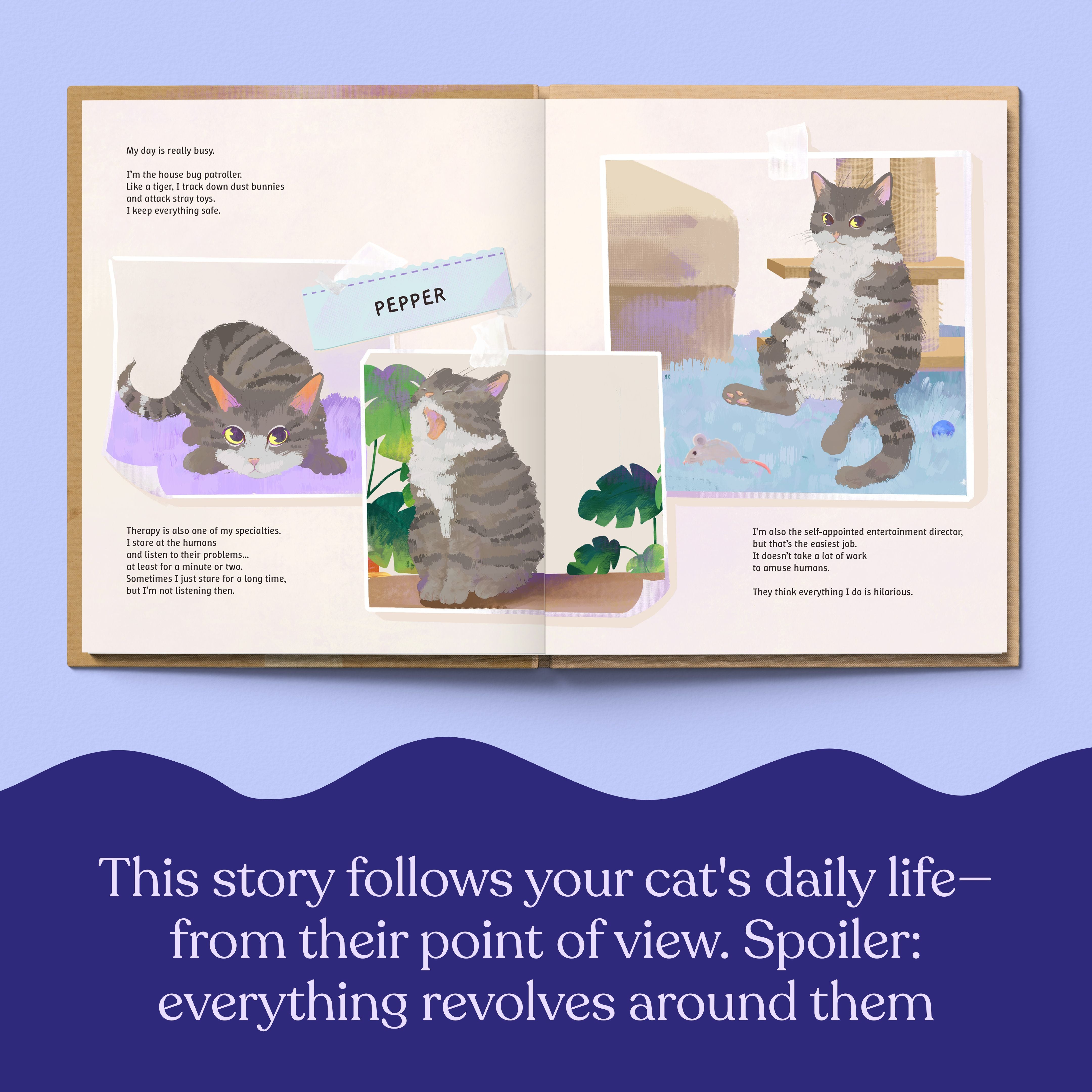 The Life of Your Cat