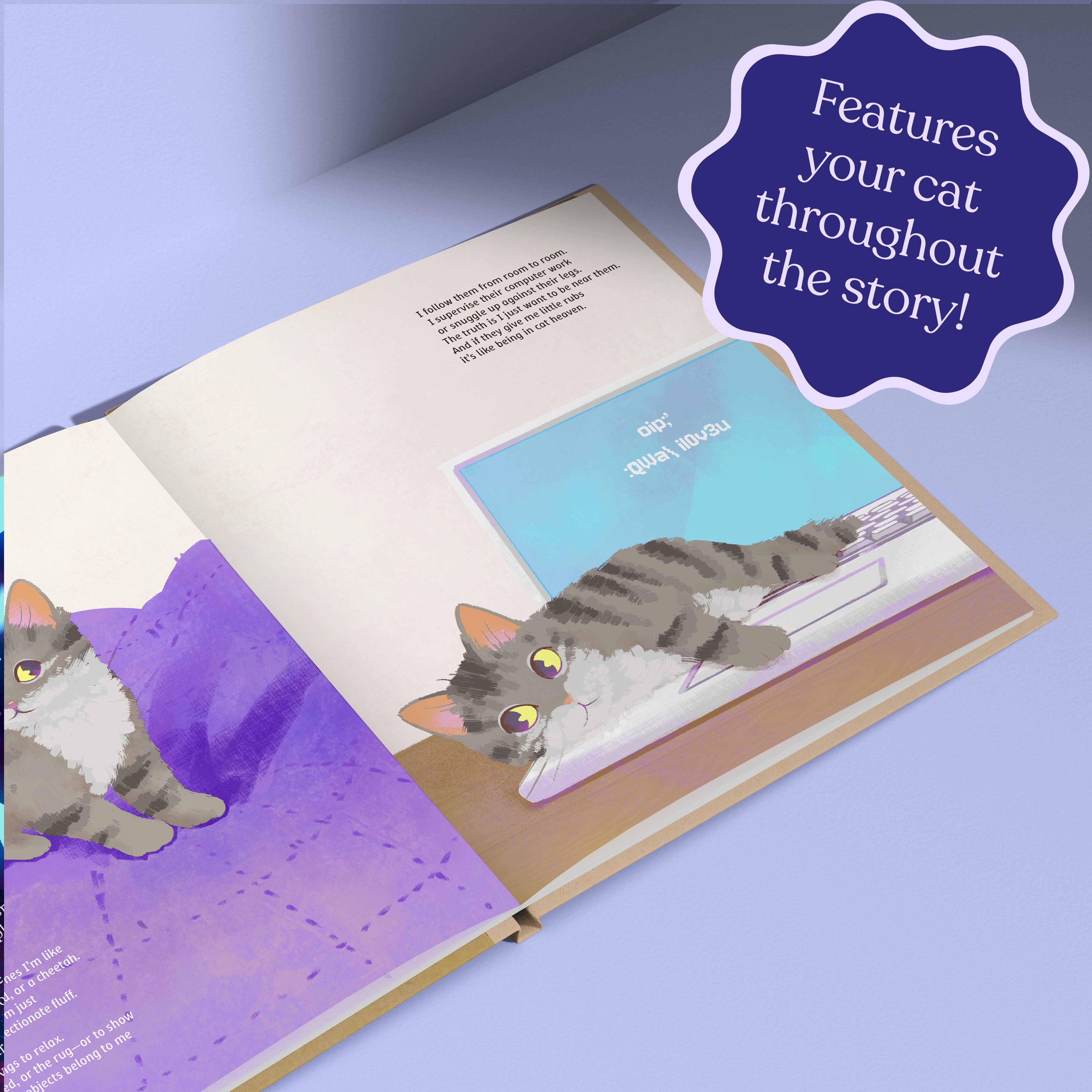 The Life of Your Cat